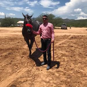 Meet your Posher, Jonathan